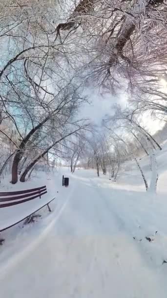 在这个360度的视频中 在雪地覆盖的公园里进行一次虚拟漫步 视频的开头是一张被积雪覆盖的树木环绕的公园长椅 当你转身的时候 你会看到一条路 — 图库视频影像