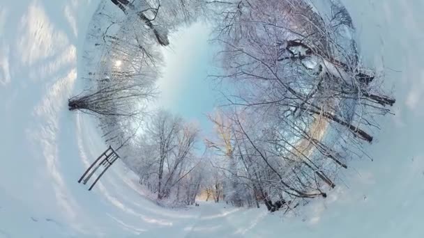 在这段360度的视频中 开始一段迷人的旅程 穿过宁静的冬季森林 沉浸在影片中的镜头捕捉到白雪覆盖的树木迷人的美丽 营造出一种神奇的氛围 — 图库视频影像