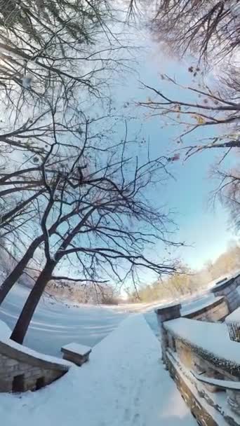 在这段360度的视频中 开始一段迷人的旅程 穿过宁静的冬季森林 沉浸在影片中的镜头捕捉到了白雪覆盖的树木 闪闪发光的雪花和迷人的美景 — 图库视频影像