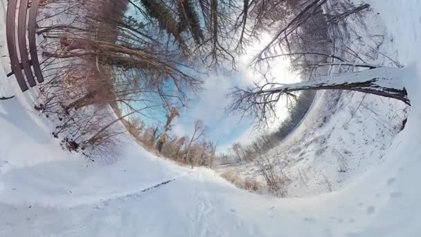 让自己沉浸在被积雪覆盖的森林迷人的氛围中 这段迷人的360度的视频 这段视频带您在一个宁静的冬季风景中进行虚拟漫步 展示了 — 图库视频影像