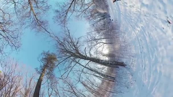 Embárcate Cautivador Viaje Través Sereno Bosque Invierno Este Video 360 — Vídeos de Stock