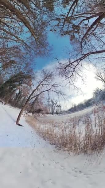 360度のVrビデオで穏やかな雪の森を通して魅惑的なバーチャル旅に出かけます 没入型の映像は静かな冬の不思議の国にあなたを運ぶ あなたはあなたのように感じる — ストック動画
