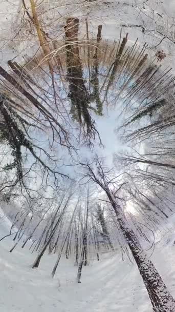 在这段360度的视频中 开始一段迷人的旅程 穿过宁静的冬季森林 沉浸在影片中的你走在一条迷人的小径上 被积雪覆盖的树木和厚厚的毛毯环绕着 — 图库视频影像