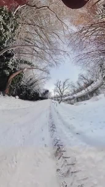 Κάντε Μια Εικονική Βόλτα Ένα Πάρκο Καλυμμένο Χιόνι Αυτό Καθηλωτικό — Αρχείο Βίντεο