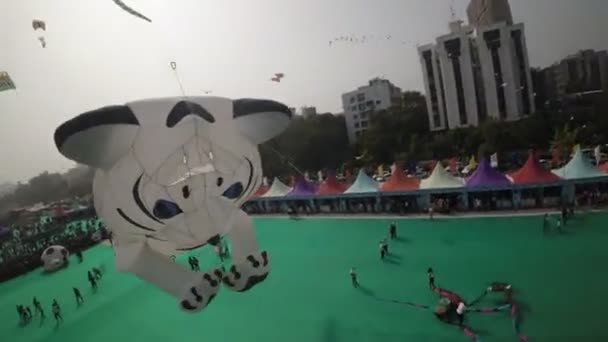 Het Ahmedabad International Kite Festival Een Levendige Kleurrijke Gebeurtenis Die — Stockvideo