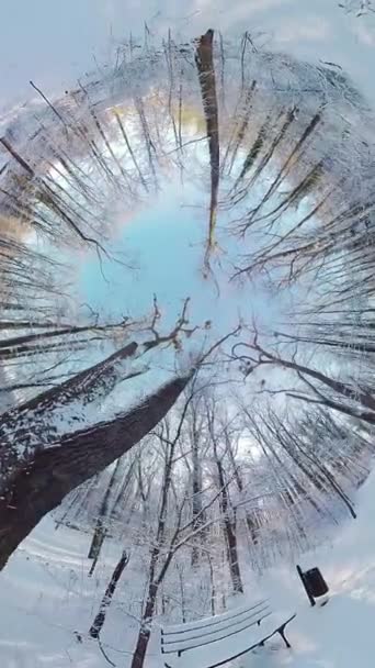 この360度のビデオで穏やかな冬の森を巡る魅惑的な旅に出かけます 没入型の映像はあなたを魅惑的な道に連れて行きます タワーの雪に囲まれています 覆われた木とソフト — ストック動画