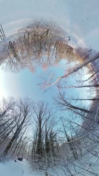 この360度のビデオで素晴らしい雪の森を通って魅惑的なバーチャル旅に出かけます 没入感あふれる映像は あなたを冬の森の中心に運び込んでくれます — ストック動画