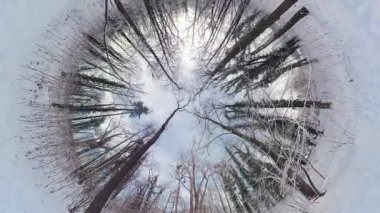 Bu 360 derecelik videoda sakin bir kış ormanında büyüleyici bir yolculuğa çıkın. Büyüleyici görüntüler sizi büyüleyici bir maceraya sürüklüyor. Büyüleyici güzelliğe tanık olmanızı sağlıyor.