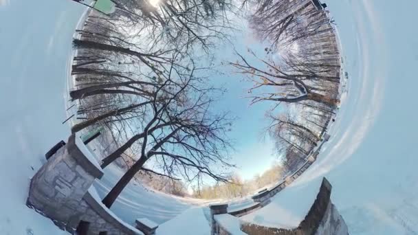 在这个360度的虚拟现实视频中 在宁静的冬季森林中展开迷人的旅程 脚下轻柔的雪碎声和风中光秃秃的枝条轻柔地吹拂着空气 就像空气中的空气一样 — 图库视频影像