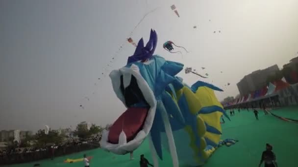 Das Video Fängt Die Fröhliche Und Lebendige Atmosphäre Eines Drachenfestivals — Stockvideo