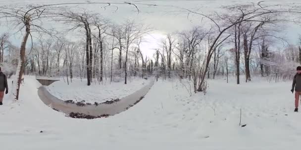 Lugn Promenad Genom Snöig Skog Gatineau Hills Quebec Kanada Videon — Stockvideo