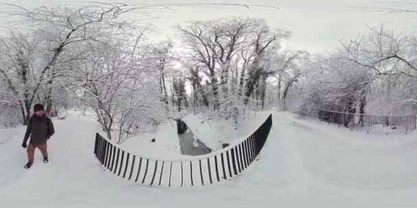 360度のバーチャルリアリティビデオで穏やかな冬の森を巡る魅惑的な旅に出かけます 雪の柔らかいクランチ 足元と風の中の優しい裸の枝は静かになります — ストック動画