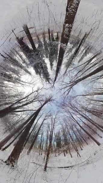 この360度のビデオで穏やかな冬の森を巡る魅惑的な旅に出かけます 没入感のある映像は タワーに覆われた雪に覆われた木の下の魅惑的なツアーであなたを連れて行き — ストック動画