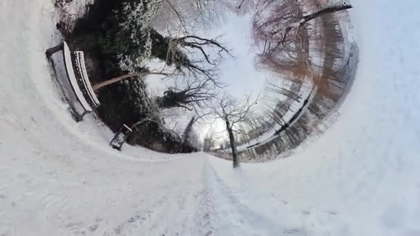 Zanurz Się Zachwycającym Pięknie Pokrytego Śniegiem Parku Uchwyconego Tym Urzekającym — Wideo stockowe