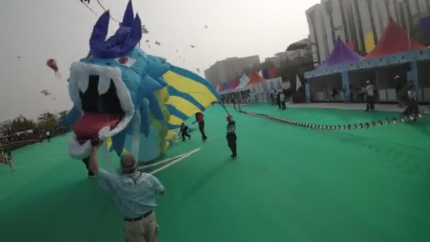 这个迷人的视频展示了一个风筝节充满活力和欢乐的气氛 天空装饰着各种形状和尺寸的彩色风筝 形成了迷人的奇观 — 图库视频影像