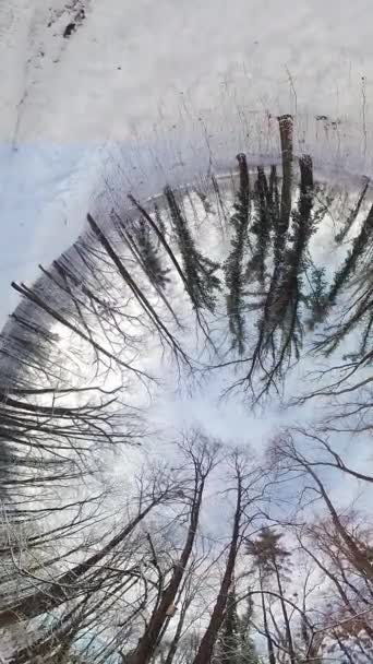 在一个寒冷的仙境中 在迷人的奥德赛上漫步 就像凝视着镜子一样 这段视频展现了迷人的鱼眼视角 让观众沉浸在冰冷的森林深处 — 图库视频影像
