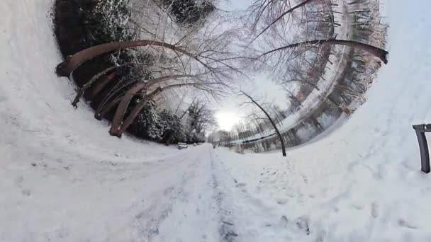 让自己沉浸在一个被积雪覆盖的公园迷人的美丽之中 这个迷人的360度的视频 这段视频带你在一个安静的公园里进行虚拟旅行 展示它的雪衣 — 图库视频影像