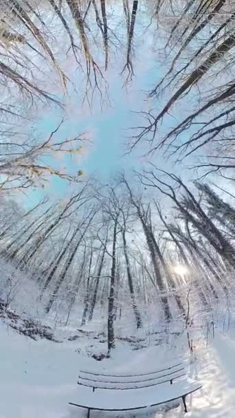 Pociťujte Klid Pohodu Zasněženého Lesa Zimě Video 360 Stupňový Pohled — Stock video