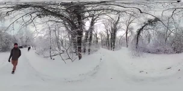 Βίντεο Ξεκινά Έναν Άντρα Στέκεται Ένα Χιονισμένο Δάσος Φοράει Πράσινο — Αρχείο Βίντεο