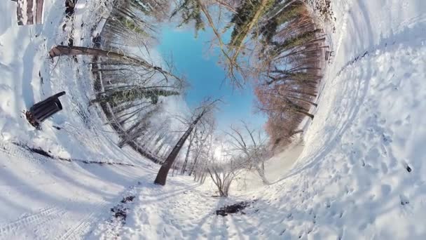 この360度のビデオで穏やかな冬の森を巡る魅惑的な旅に出かけます 没入感のある映像は 静かな雪に覆われた風景にあなたを運び あなたが歩いているような気分になります — ストック動画