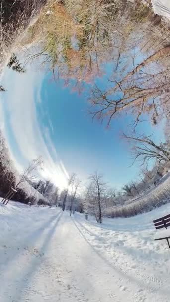 雪に覆われた森の道の魅惑的な雰囲気に浸ってください ビデオは 遠くの雪の木とジョギングの魅惑的なフィッシュヘイの景色で開きます カメラがダウンすると — ストック動画
