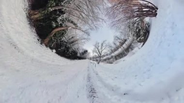 Kendinizi bu büyüleyici videoyla karla kaplı parkın büyüleyici güzelliğine daldırın. Karla kaplı ağaçlar ve çalılarla kaplı patika, sakin bir kaçış sunuyor.