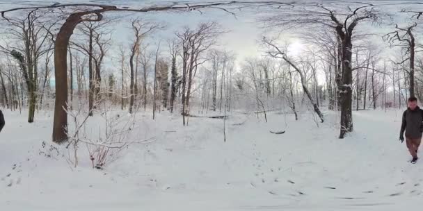 Πάρτε Μια Ειρηνική Βόλτα Μέσα Από Ένα Χιονισμένο Δάσος Αυτό — Αρχείο Βίντεο