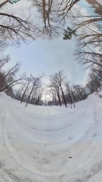 この360度のビデオで穏やかな冬の森を巡る魅惑的な旅に出かけます 没入感のある映像は あなたを静かな雪に覆われた風景に運び込み あなたは実際にあなたのように感じる — ストック動画