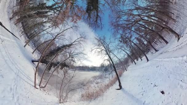 360 Derecelik Sanal Gerçeklik Videosunda Sakin Bir Kış Ormanında Büyüleyici — Stok video