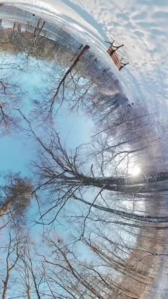この魅惑的なビデオで雪に覆われた森の魅惑的な美しさに身を浸してください 柔らかく白い雪は穏やかで平和な雰囲気を作り出しますが 裸の木はタッチを加えます — ストック動画