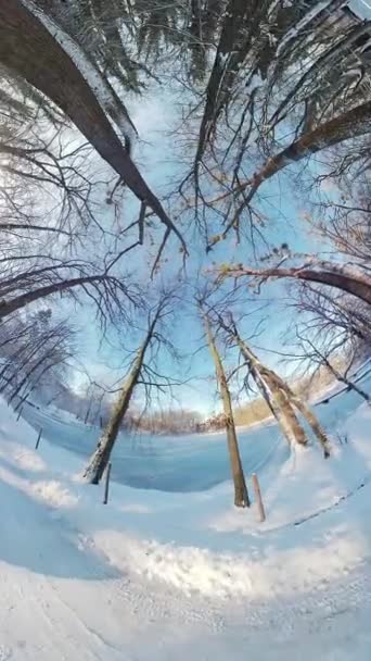 Embárcate Cautivador Viaje Través Sereno Bosque Invierno Este Video 360 — Vídeo de stock