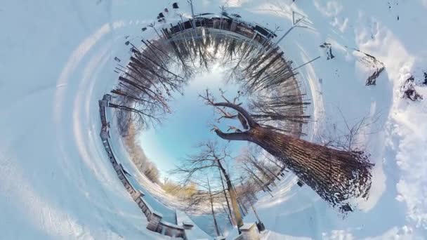 Fördjupa Dig Den Förtrollande Skönheten Lugn Snöig Skog Med Denna — Stockvideo