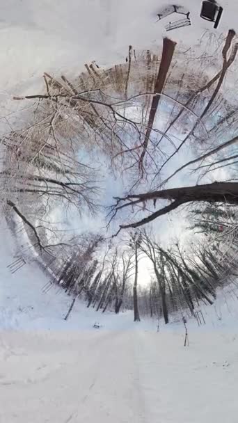 Video 360 Asteen Näkymä Lumiseen Metsään Lumi Koskematonta Puut Ovat — kuvapankkivideo