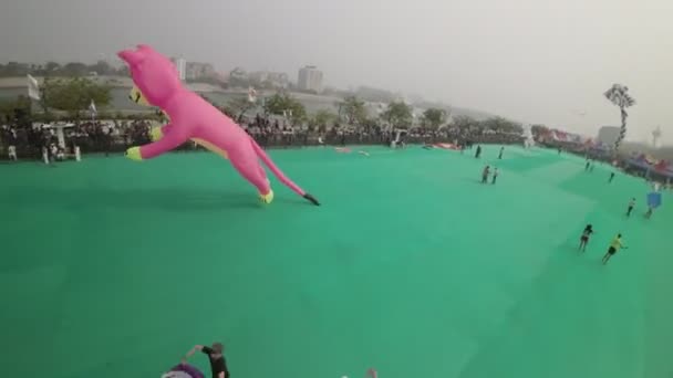 该视频展示了艾哈迈达巴德国际风筝节 这是一个令人兴奋的活动 以其充满活力的风筝展示吸引了观众的心 这个节日在艾哈迈达巴德举行 — 图库视频影像