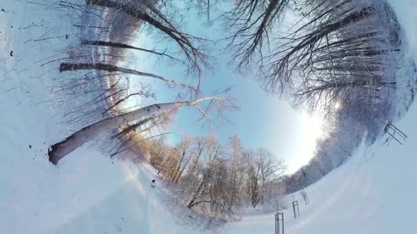 Toto 360 Stupňové Video Zasněženého Lesa Video Bylo Pořízeno Pohledu — Stock video