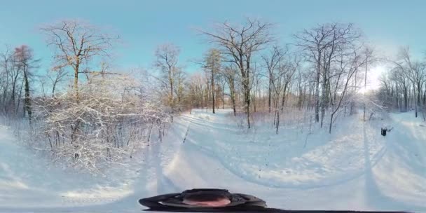 Wyrusz Fascynującą Wirtualną Podróż Przez Spokojny Pokryty Śniegiem Las Tym — Wideo stockowe