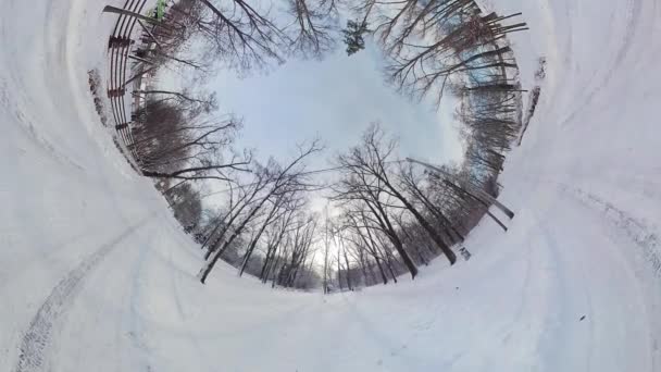 Vydejte Podmanivou Cestu Klidným Zimním Lesem Tomto 360 Stupňovém Videu — Stock video