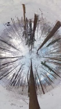 Bu 360 derecelik videoda sakin bir kış ormanında büyüleyici bir yolculuğa çıkın. Çekilen görüntüler sizi karla kaplı ağaçların nefes kesici bir şey yarattığı ormanın kalbine götürüyor.