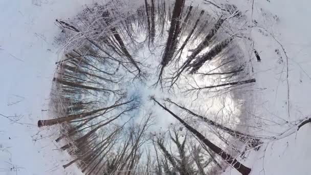 この360度のビデオで穏やかな冬の森を巡る魅惑的な旅に出かけます 没入型の映像はあなたを雪に覆われた森の中心に運びます そこで若返る感じます — ストック動画