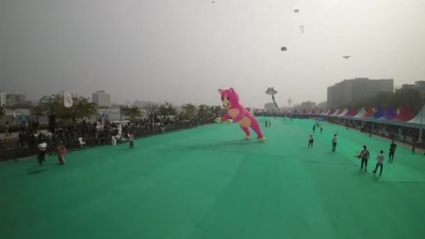 Vídeo Mostra Vibrante Alegre Celebração Festival Pipa Ahmedabad Índia Céu — Vídeo de Stock