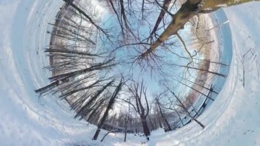 Bu karlı bir ormanın 360 derecelik bir videosu. Video birinci şahıs bakış açısından çekildi ve sanki ormanda yürüyormuşsunuz gibi geliyor. Yerler karla kaplı, ağaçlar da.