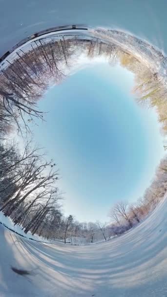 Tag Fængslende Rejse Gennem Fredfyldt Vinterskov Denne 360 Graders Video – Stock-video