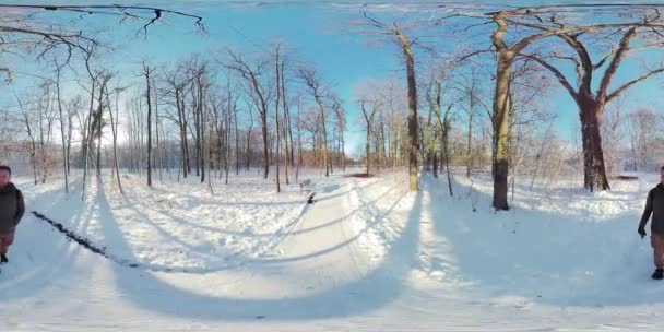 Wybierz Się Spokojny Spacer Oszałamiającym Lesie Zimowym Tym 360 Stopniowym — Wideo stockowe
