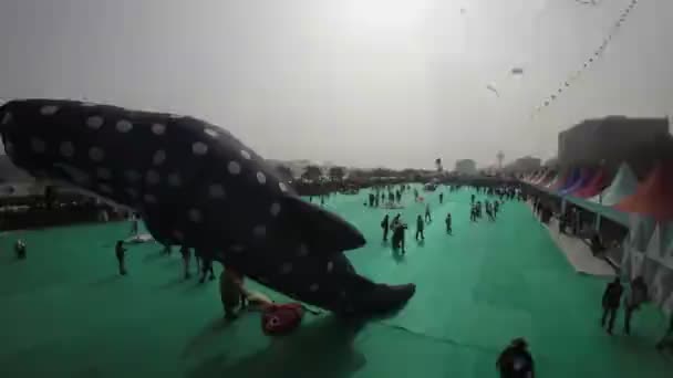 Film Pokazuje Ahmedabad International Kite Festival Indiach Festiwal Odbywa Się — Wideo stockowe