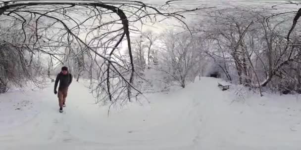 Κάντε Μια Ήρεμη Βόλτα Μέσα Από Ένα Εκπληκτικό Δάσος Χειμώνα — Αρχείο Βίντεο