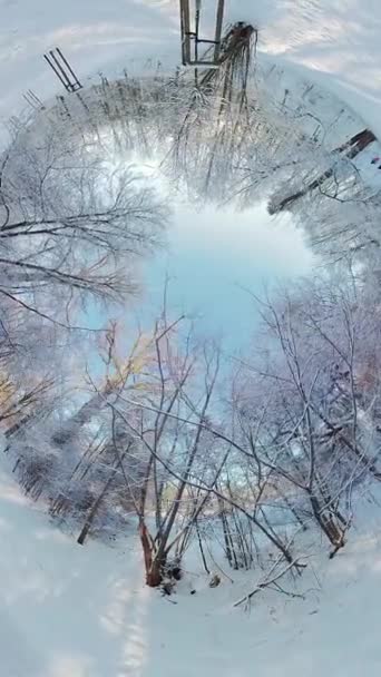 Βίντεο Είναι Μια Άποψη 360 Μοιρών Ενός Χιονισμένου Δάσους Βίντεο — Αρχείο Βίντεο