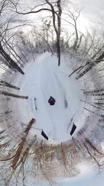 Tag Fængslende Rejse Gennem Fredfyldt Vinterskov Denne 360 Graders Virtual – Stock-video
