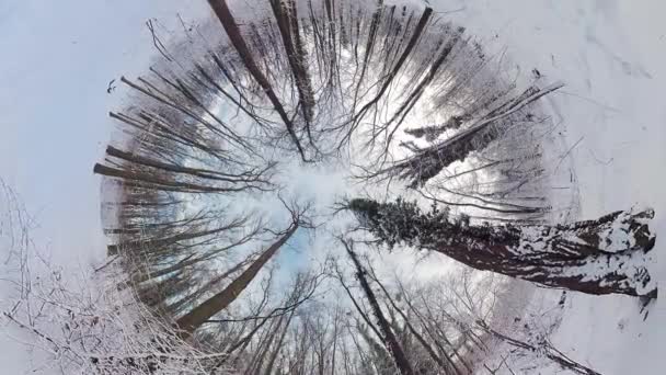在这段360度的视频中 开始一段迷人的旅程 穿过宁静的冬季森林 沉浸在影片中的你被带到了森林的中心 那里被雪覆盖的树木创造了一个令人惊叹的景象 — 图库视频影像