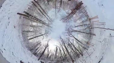 Bu 360 derecelik videoda sakin bir kış ormanında büyüleyici bir yolculuğa çıkın. Çekilen görüntüler sizi karla kaplı ağaçların ve el değmemiş beyaz ağaçların bulunduğu ormanın kalbine götürüyor.