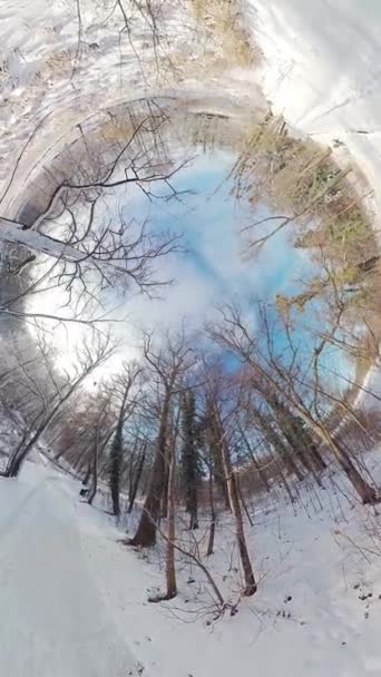 Ponořte Tímto 360 Stupňovým Videem Okouzlující Krásy Zasněženého Lesa Video — Stock video